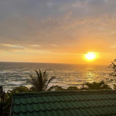 Villa Rasta - Ocean View Bungalows بورت أنطونيو المظهر الخارجي الصورة