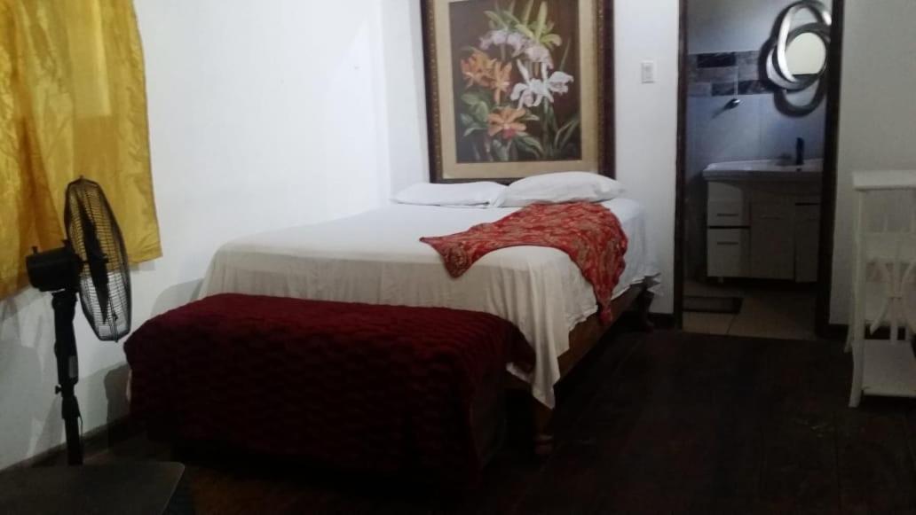 Villa Rasta - Ocean View Bungalows بورت أنطونيو المظهر الخارجي الصورة