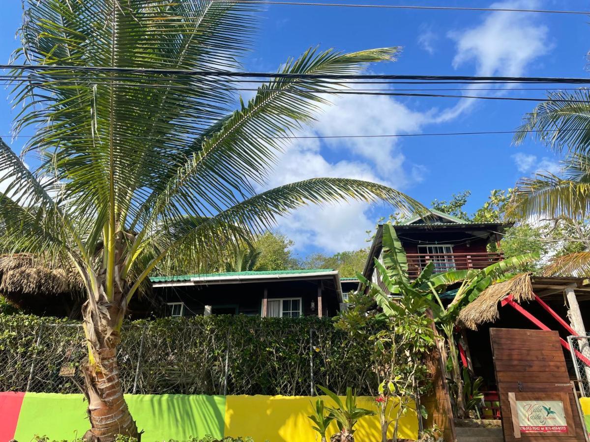Villa Rasta - Ocean View Bungalows بورت أنطونيو المظهر الخارجي الصورة