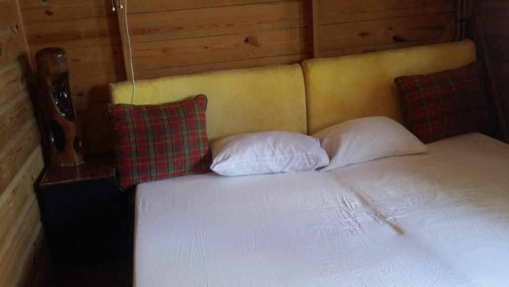Villa Rasta - Ocean View Bungalows بورت أنطونيو المظهر الخارجي الصورة